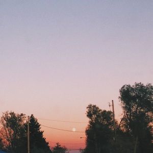 Meet your Posher, Joni